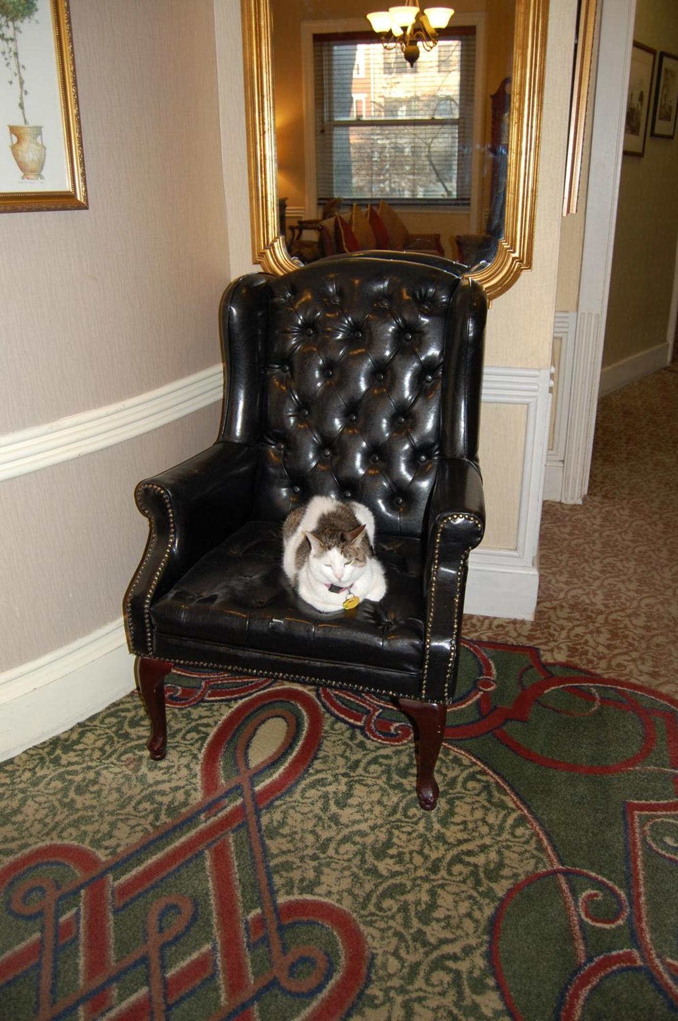 Hotel Windsor Washington